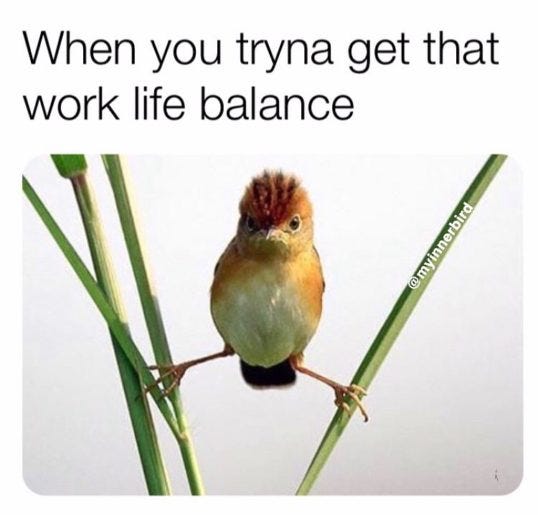 Burung yang sedang berusaha mencapai work-life balance